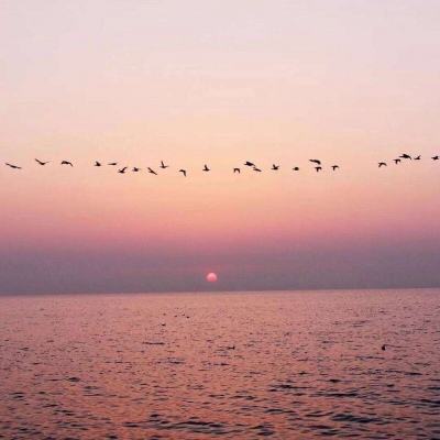 球探手机app下载